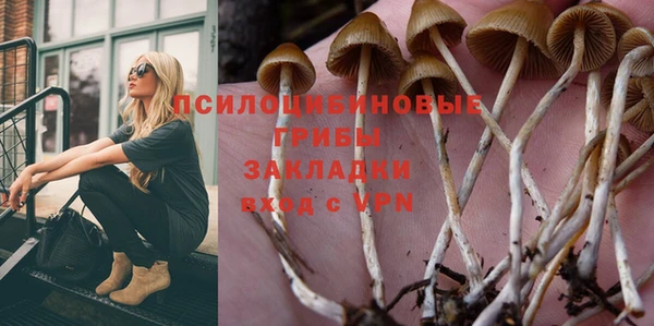 соль курить ск Алексин